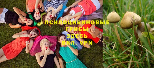 дживик Бугульма