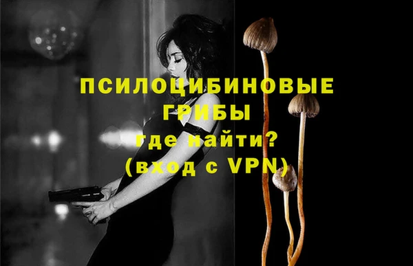 Альфа ПВП Бородино