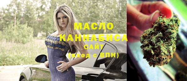 Альфа ПВП Бородино