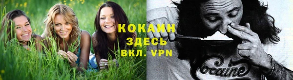 дживик Бугульма