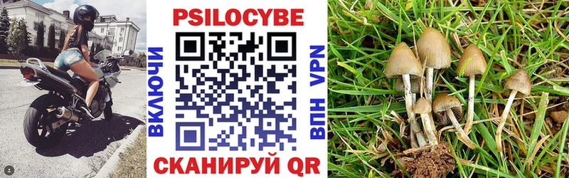Псилоцибиновые грибы прущие грибы Клин